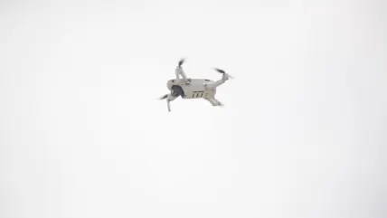 ヴォルテックス カジノ モバイルアプリ